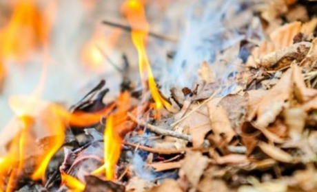 П’ять причин відмовитися від паління багать