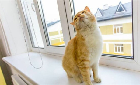 На наступному тижні в Кагарлицькому районі повітря прогріється до +26