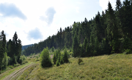 Троїчани піднялись на гору Зворець, щоб  побачити красу Закарпаття