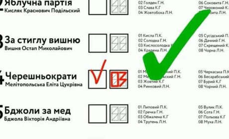 Як правильно заповнювати виборчий бюлетень, щоб не зіпсувати