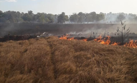 На Полтавщині знову оголоcили надзвичайний рівень пожежної небезпеки