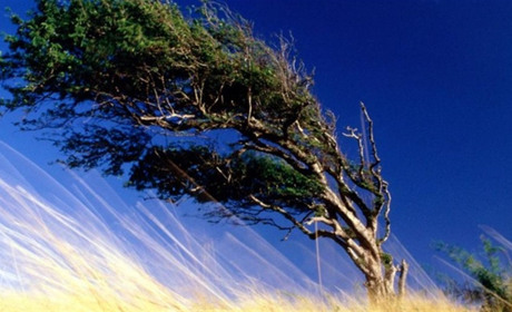 26 і 27 вересня через пориви вітру і дощі гідрометцентр попереджує про небезпеку