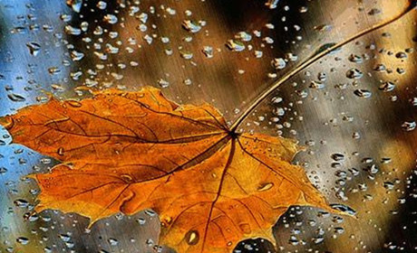 На наступному тижні в Кагарлицькому районі пройдуть дощі 