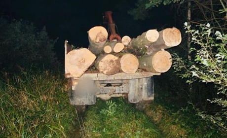 Поліцейські заарештували лісника з Калущини за незаконне перевезення деревини