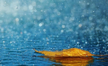 Останній тиждень вересня у Гадячі буде мокрим