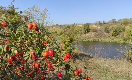 Нові тарифи, вибори та початок опалювального сезону: головні зміни для старокостянтинівців у жовтні