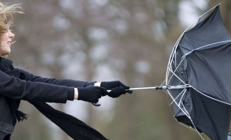 На наступному тижні в Кагарлицькому районі можливі сильні пориви вітру