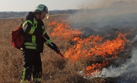 За тиждень в Троїцькому горіло 18 разів