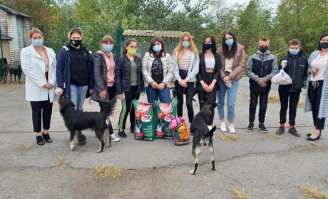 Переяславські школярі зібрали ласощі для мешканців собачого притулку