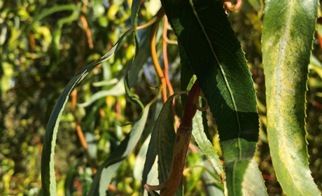 Топ 7 місць у Троїцькому, куди варто вирушити на осінню фотосесію