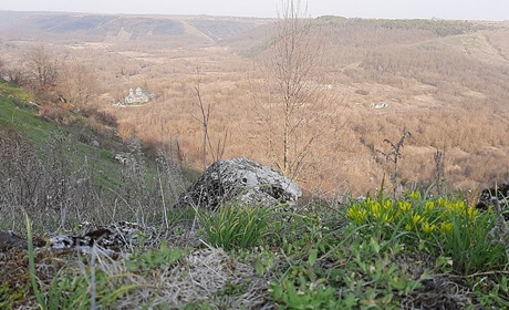 Дві чортків'янки найбільше відзняли пам'яток природи для міжнародного конкурсу