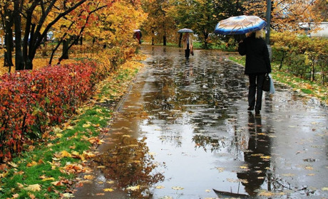 З другої половини наступного тижня в Кагарлицькому районі очікується зниження температури