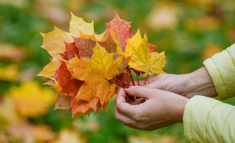 Більше тепла та майже без опадів: погода у Гадячі на тиждень