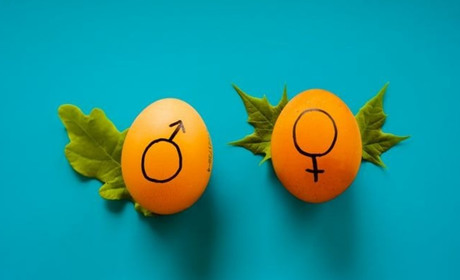 Вопрос полового воспитания в школьной программе