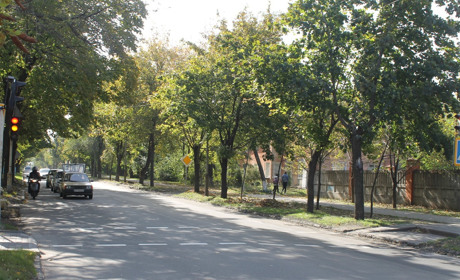 Фотоподборка: в каком состоянии  пешеходные переходы возле школ Никополя