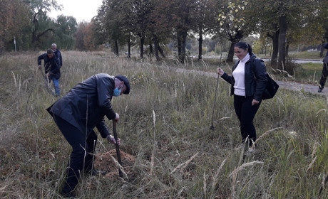 Біля Шосткинського інституту СумДУ висаджували сосни та берізки
