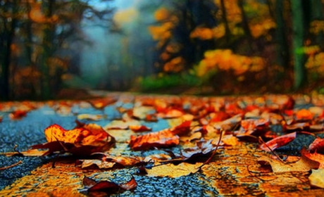 Погода на тиждень: мінлива хмарність і короткочасний дощ