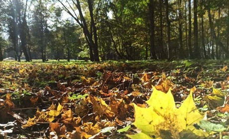 Прогноз погоди на тиждень: трохи «плюсів» до осінньої прохолоди