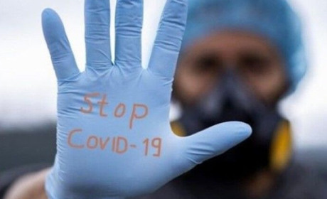 Понад 60 випадків за добу: динаміка захворюваності на COVID-19 на Новоград-Волинщині