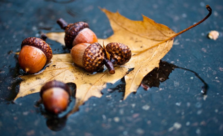 Прогноз погоди на перший тиждень листопада: відкриваємо сезон дощів