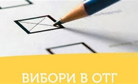 ЦВК оприлюднила результати виборів голів Калуської міської і Верхнянської та Новицької сільських рад