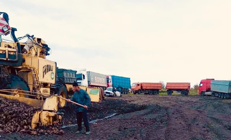 Михайло Співак: експорт цукру цього року або скасуютьо, або скоротять до мінімуму