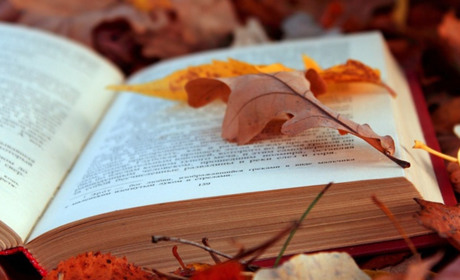 5 книг, які допоможуть пережити осінній сум: вибір від Ніжин.Сіty