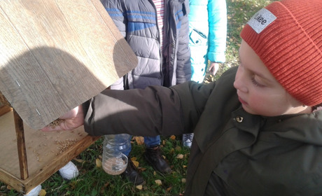 Не цифрові рибки на планшеті, а годівнички для птахів: у сьомій школі провели екологічну акцію