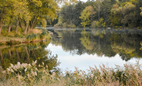 5 місць у Кагарлику та районі, куди варто вирушити на осінню фотосесію