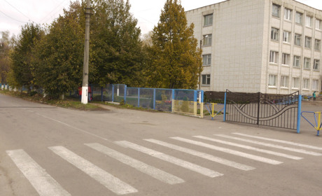 Фотопідбірка: як виглядають пішохідні переходи біля шкіл Кагарлика та сіл