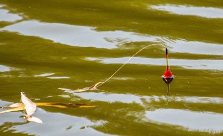 Де найкраще клює на Кагарличчині? Найліпші місця для риболовлі