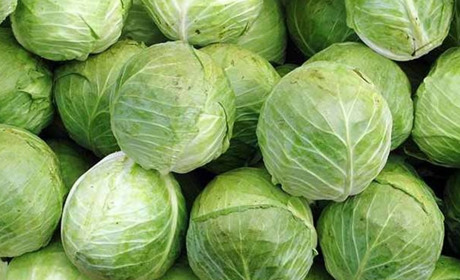 Корисні властивості капусти: що варто знати про цей овоч. Рецепти