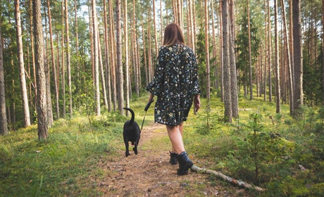 Отруйний чи їстівний? Пройди тест і дізнайся чи варто тобі йти в ліс по гриби!