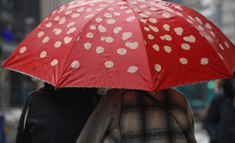 Погода тижня з 16 до 22 листопада: сніг чи дощ?