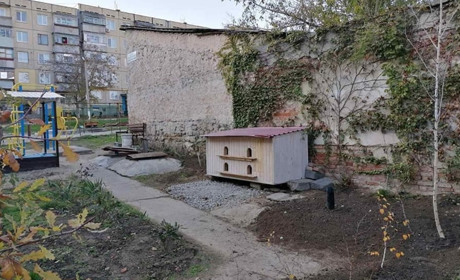 В Никополе появилось «кошачье общежитие»