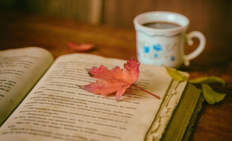 Чтиво на вечір: Колін Мак-Каллоу  "Ті, що співають у терні"