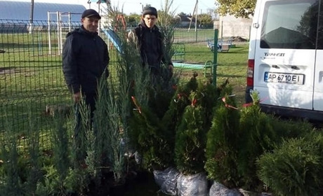 Озеленювати населені пункти почали восени: у Вільному та Змаганні висадили дерева і кущі троянд