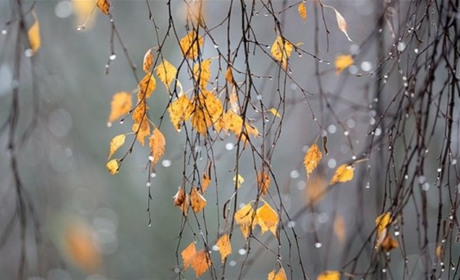 Прогноз погоди на тиждень: без снігу, але з дощем