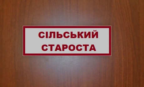 Сесія Новодмитрівської ОТГ затвердила старост та структурувала виконавчий орган сільської ради