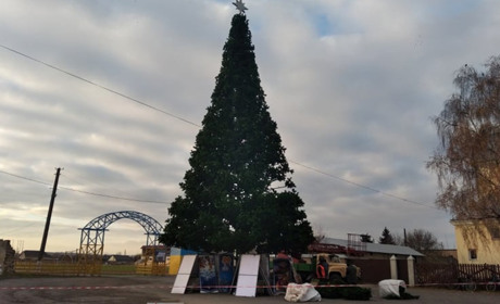 У Старокостянтинові встановлюють новорічну ялинку (оновлено)