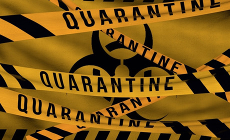 Названо орієнтовну дату запровадження повного локдауну в Україні