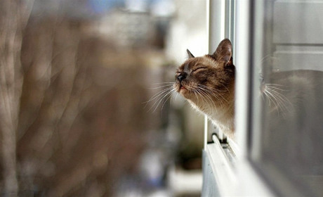 Теплий грудень: прогноз на перший місяць зими в Україні