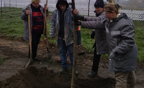 Балта зазеленіє. Молоді саджанці прикрасили ще один куточок міста