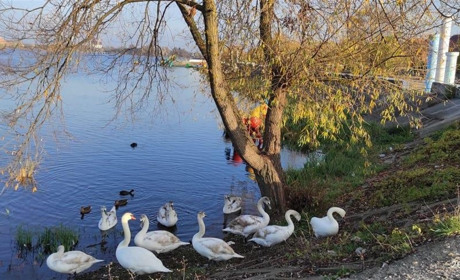 Погода у Старокостянтинові з 2 по 6 грудня: чого очікувати від початку зими