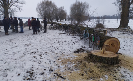 На Менщині селяни вдруге намагалися завадити вирубці дерев