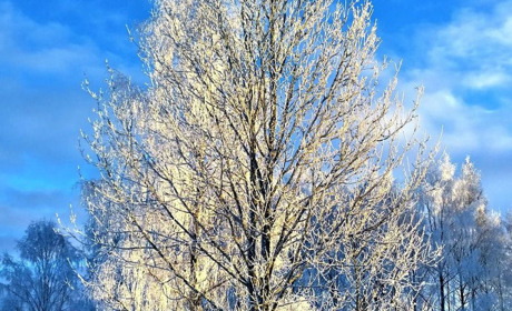 На вихідні на Кагарличчині буде без опадів та морозно