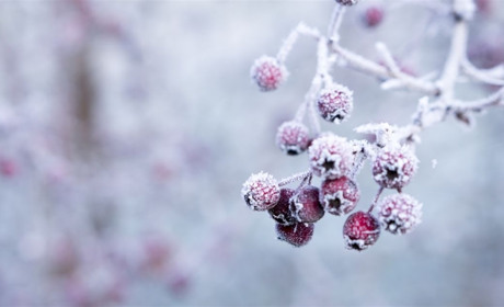 Погода на тиждень: коли чекати на похолодання