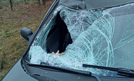 Водія, який збив юнака на Менщині, на два місяці посадили під варту