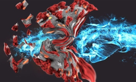 Антитіла від коронавірусу зберігаються в організмі понад шість місяців