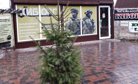 Купіть ялинку в горщику. Згодом висадіть її на ділянці, або у волноваському парку